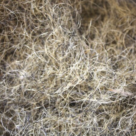 Crin Animal brun