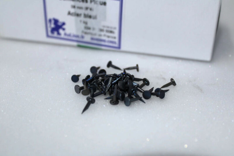 semences pique de 11mm en acier bleui